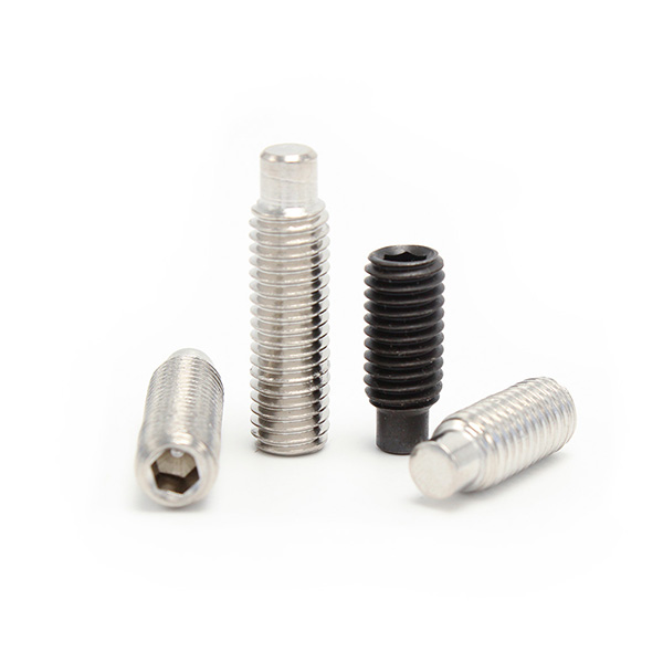 Hexagon Socket Dog Point Set Screws - Wanhong-fastener