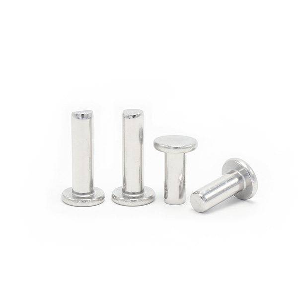 Flat head rivets -1