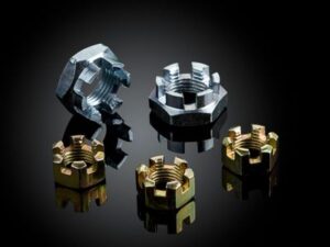 Slotted-Nuts-Pictures